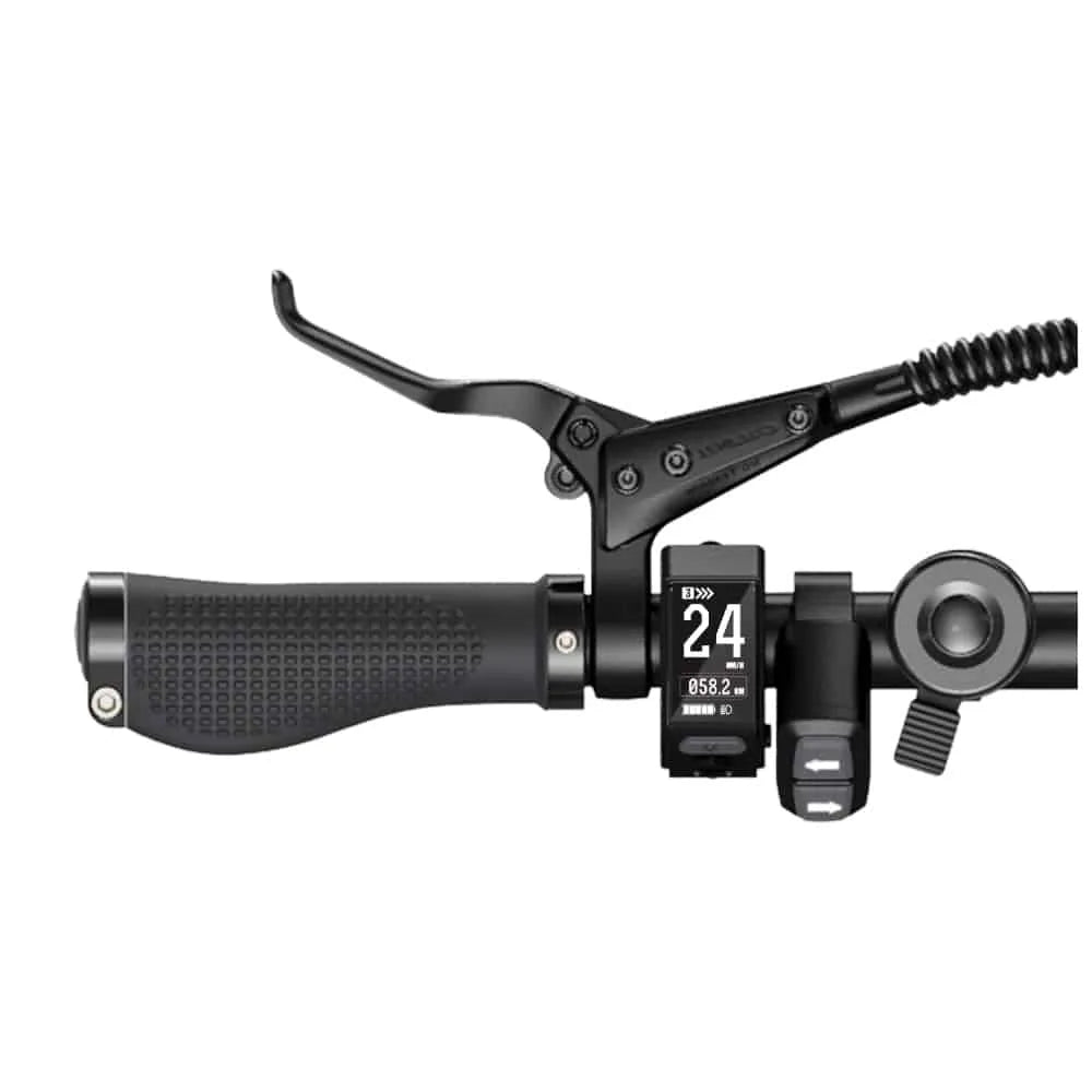 ENGWE P20 - Bicicleta eléctrica plegable - Verde