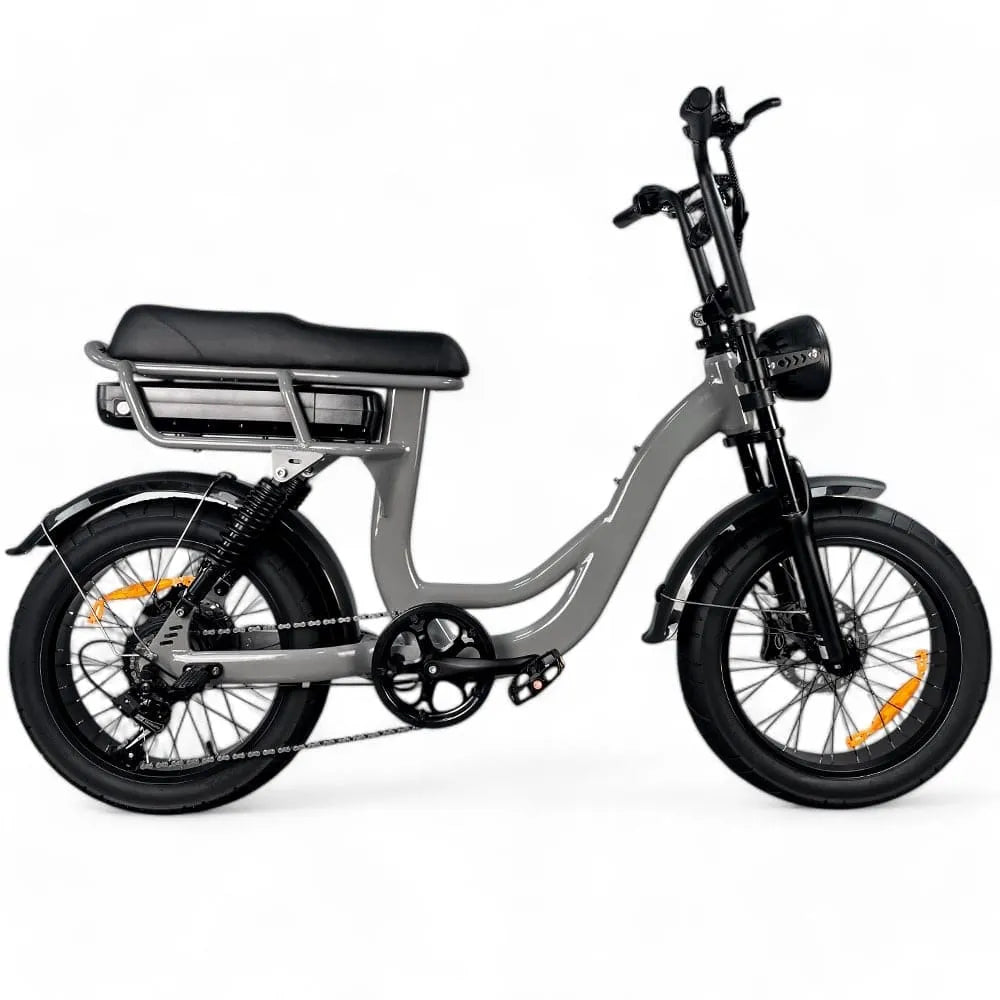 EB8 - Fatbike - Bruin