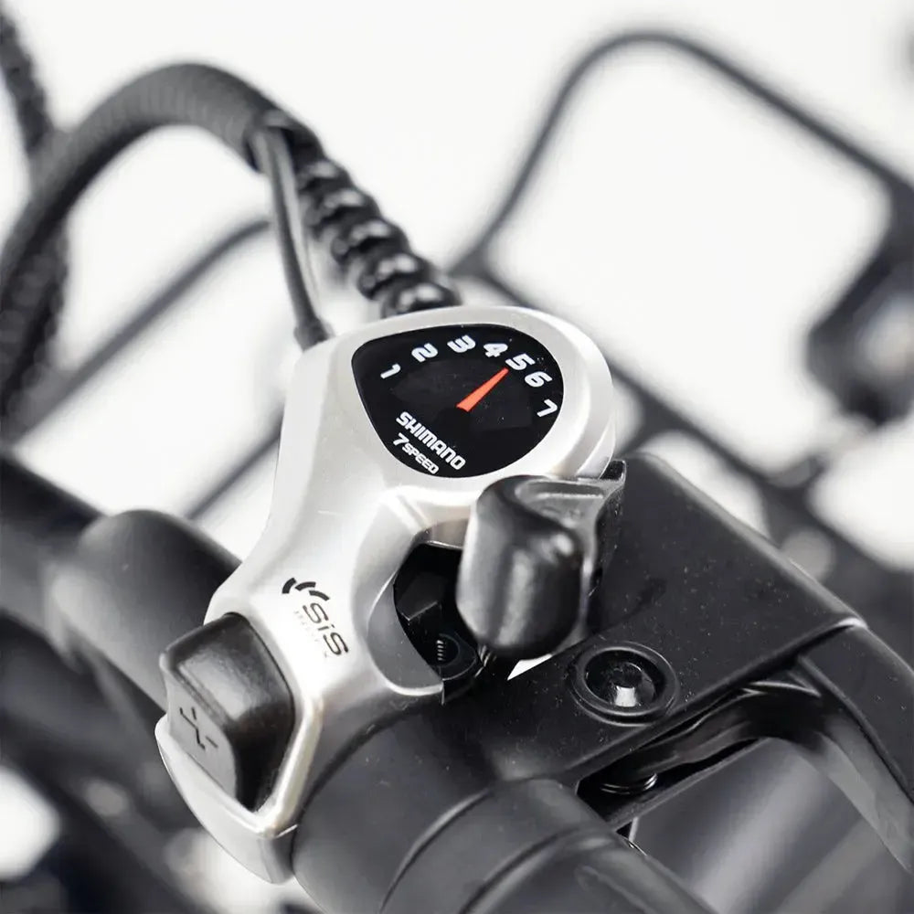 ENGWE L20 Boost - Negro