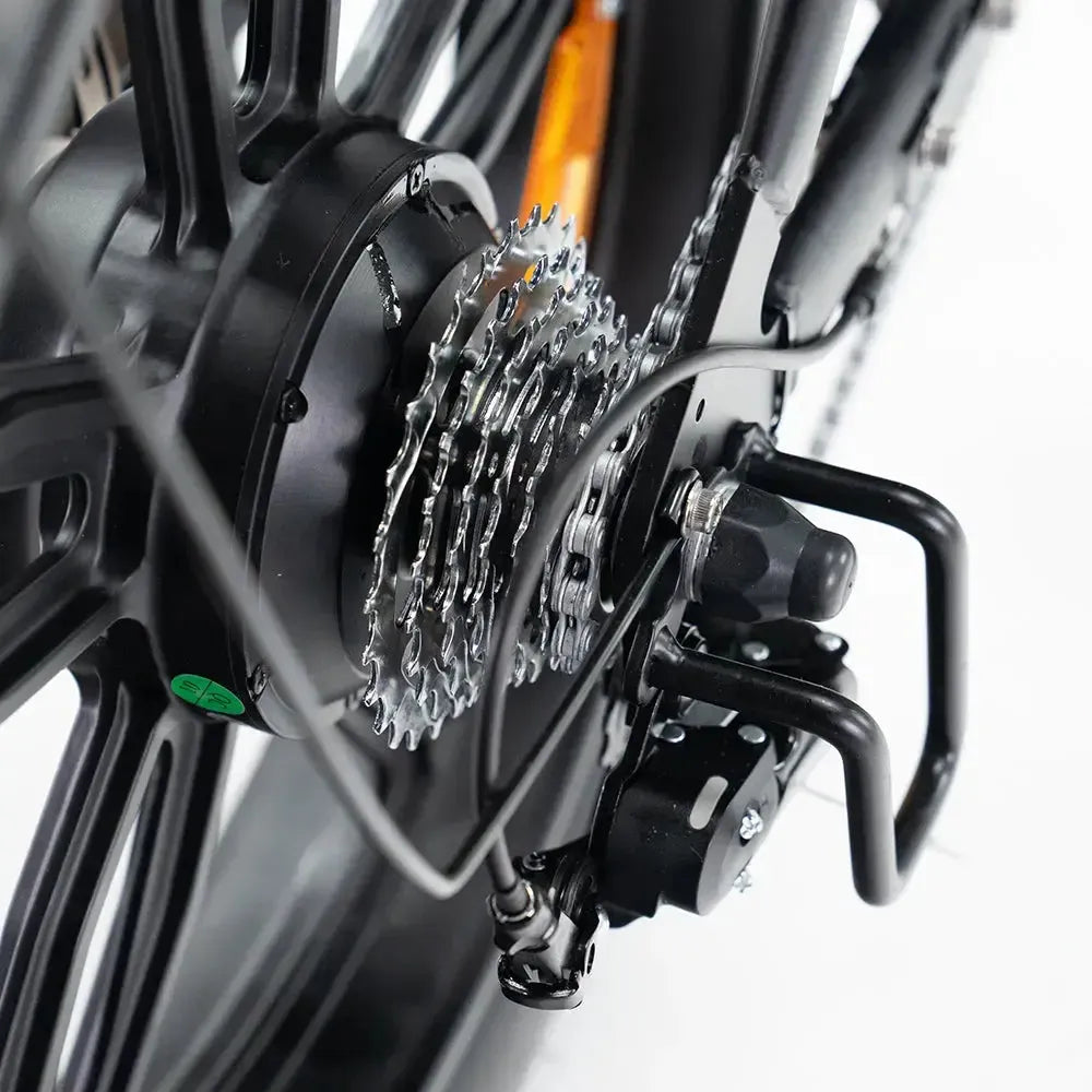 V20 Pro 5.0 Gris - Fatbike - Frenos hidráulicos