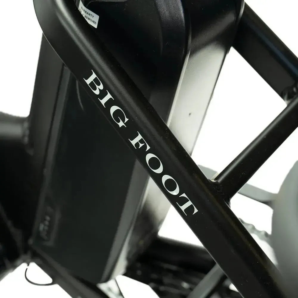 Diablo Big Foot Driewieler - Electrische minder valide fiets - Mat Zwart