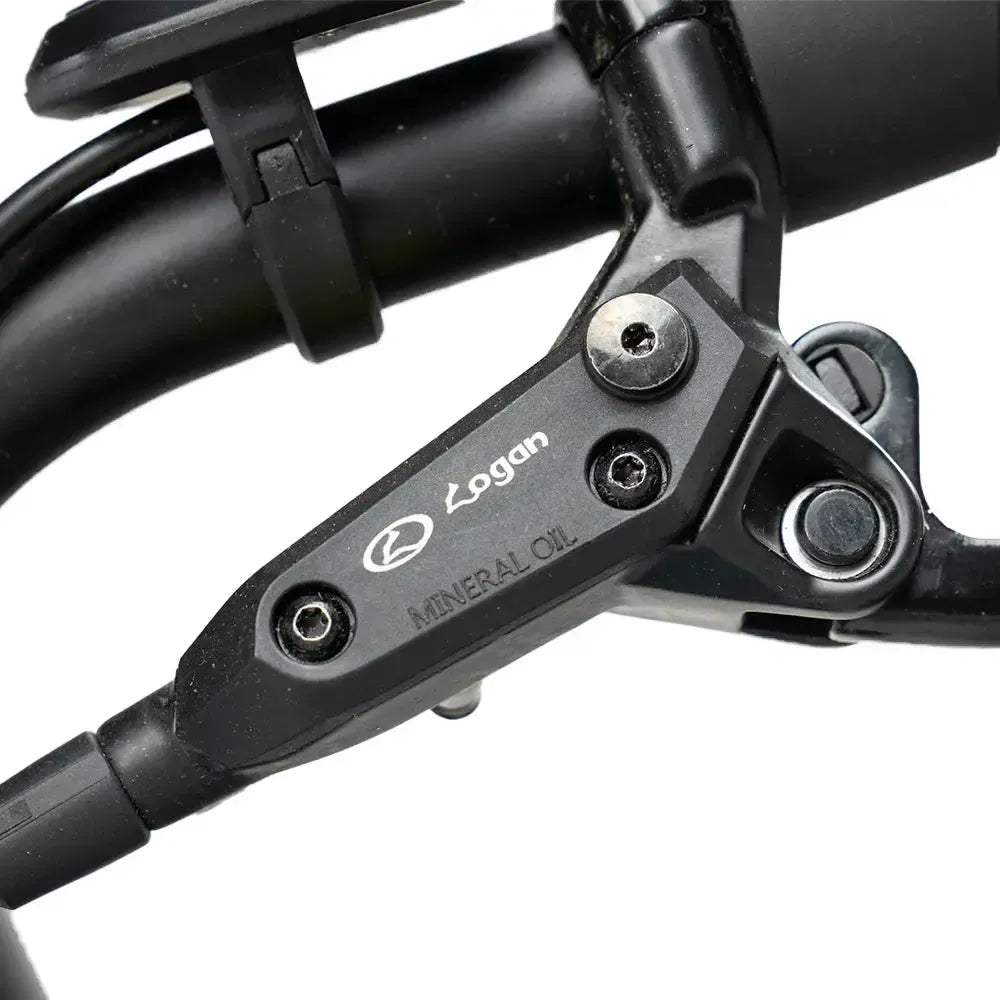 Diablo Zipper Fatbike - Gris