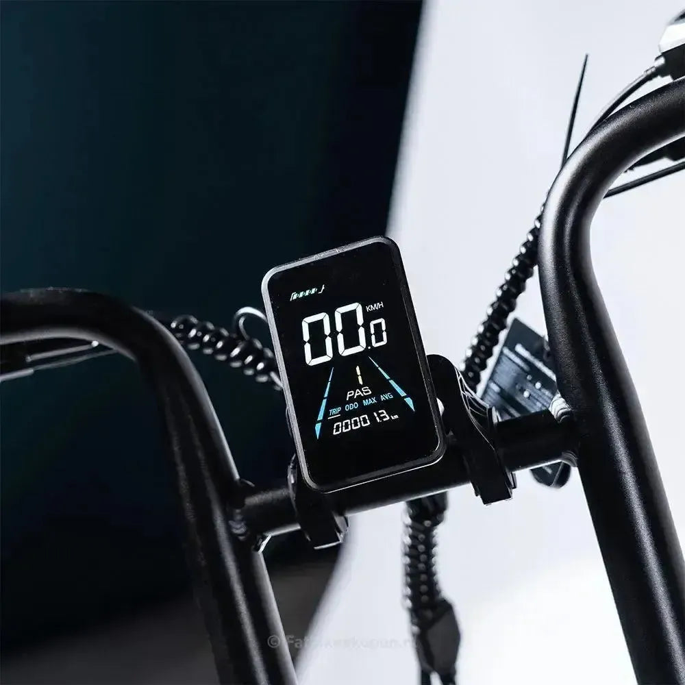 EB2 Fatbike Zilver + Alarm + Voetsteuntjes