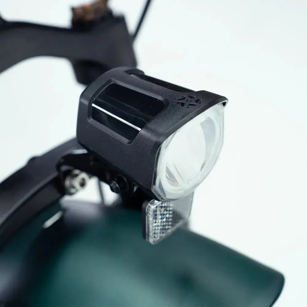 Engwe Engine Pro 2.0 - Bicicleta eléctrica plegable - Verde