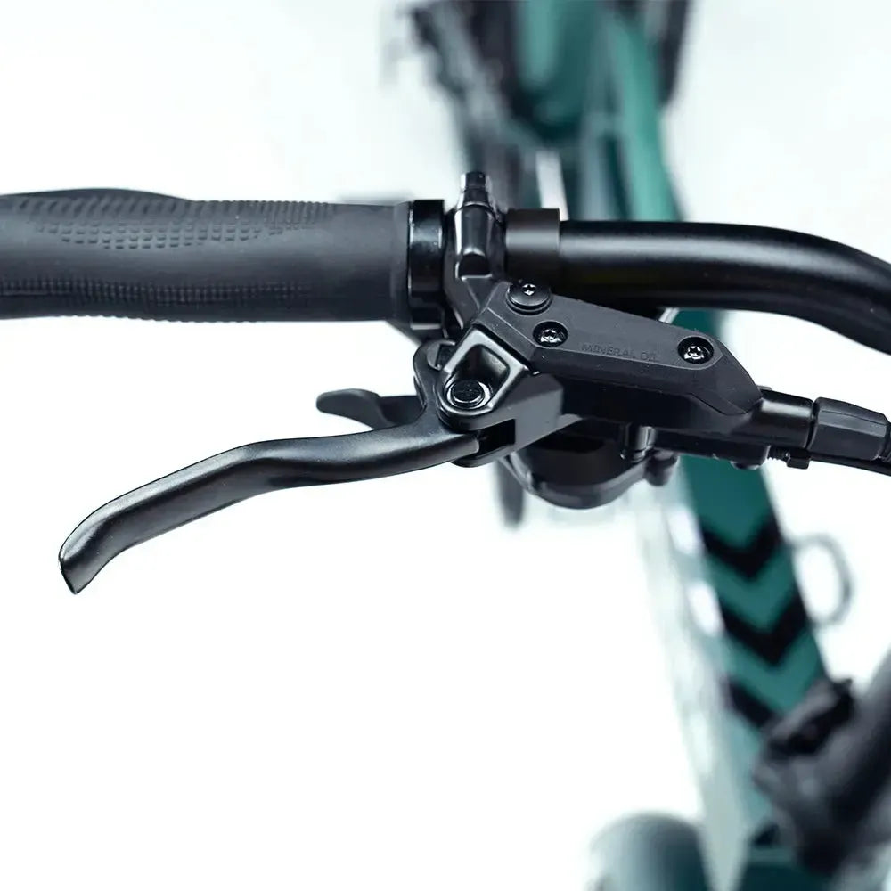 Engwe Engine Pro 2.0 - Bicicleta eléctrica plegable - Verde