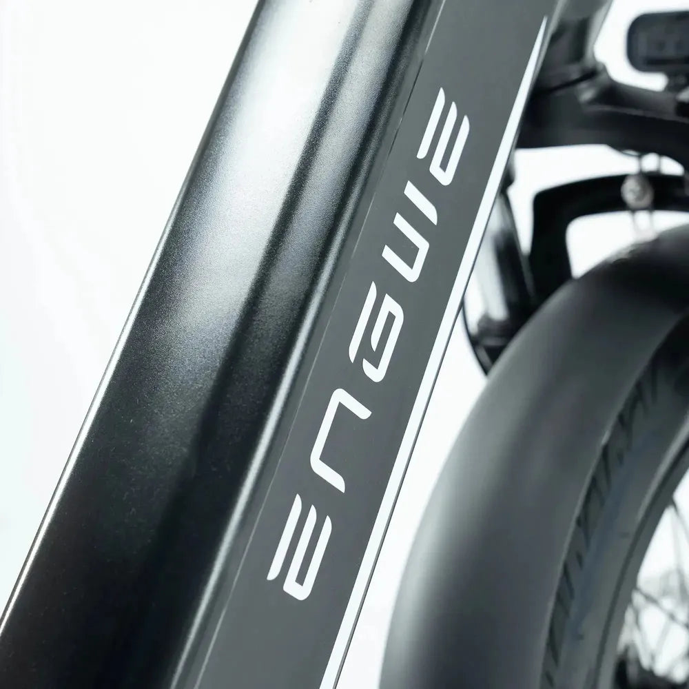 ENGWE L20 3.0 Boost - Negro