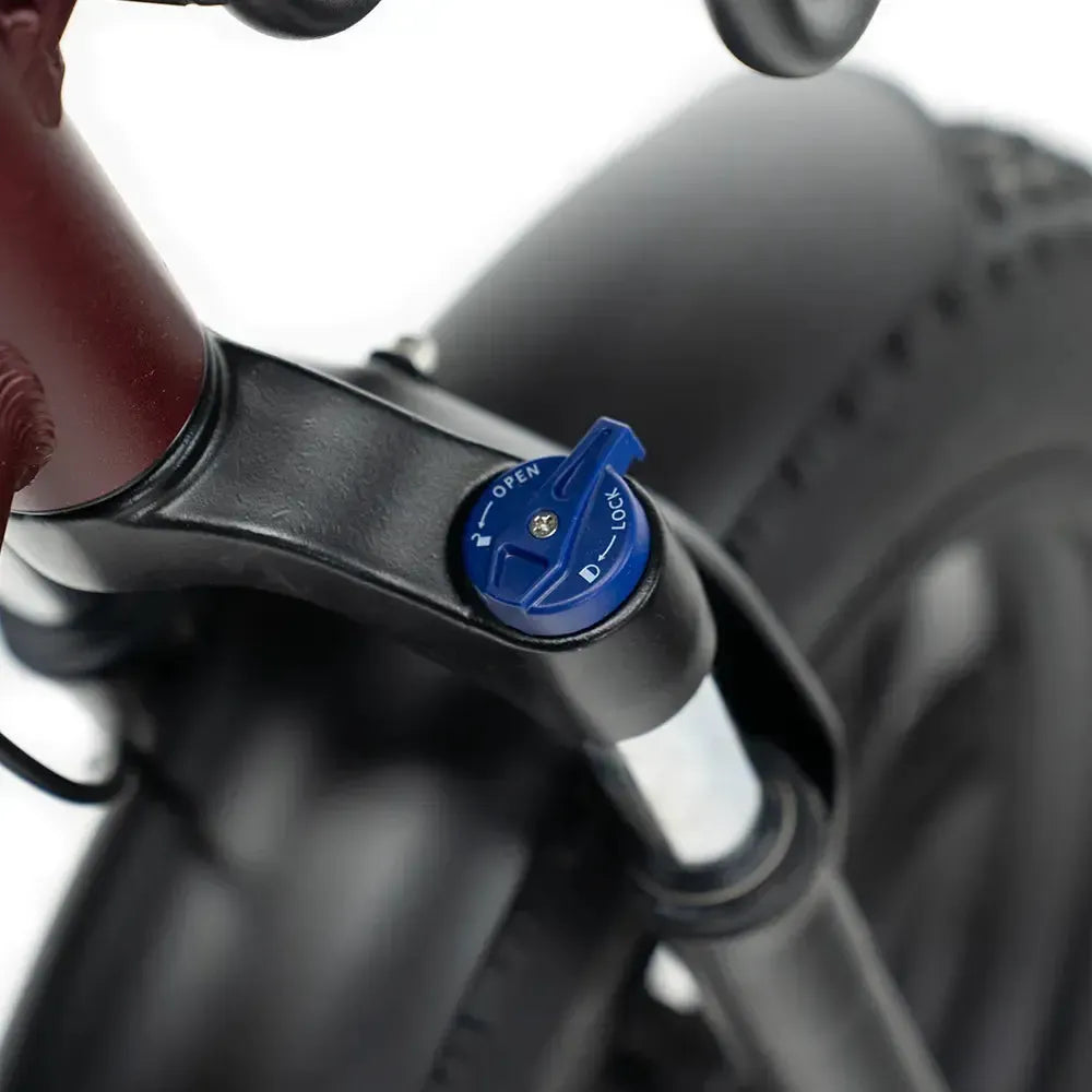 ENGWE L20 Boost - Rojo