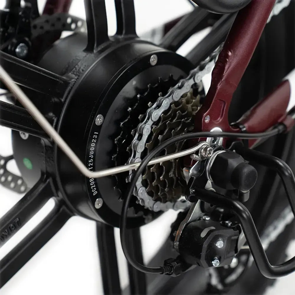 ENGWE L20 Boost - Rojo