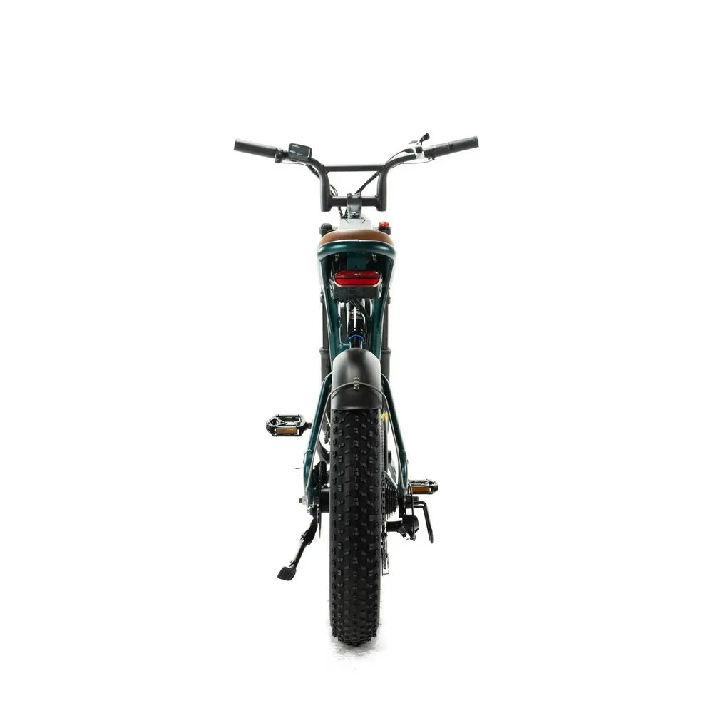 ENGWE M20 - Fatbike - Doble batería - Verde