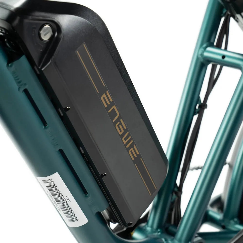 ENGWE M20 - Fatbike - Doble batería - Verde