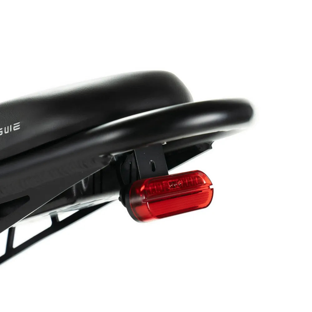 ENGWE M20 - Fatbike - Doble batería - Negro