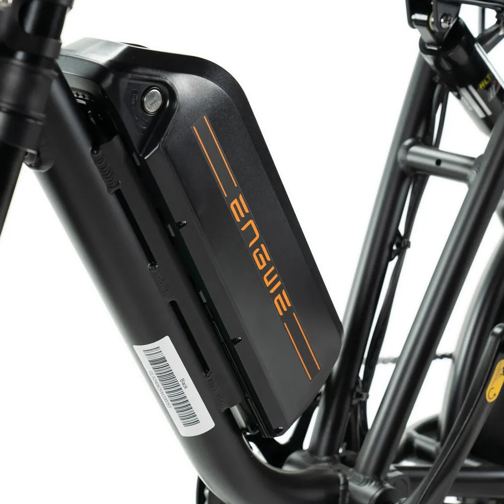 ENGWE M20 - Fatbike - Doble batería - Negro