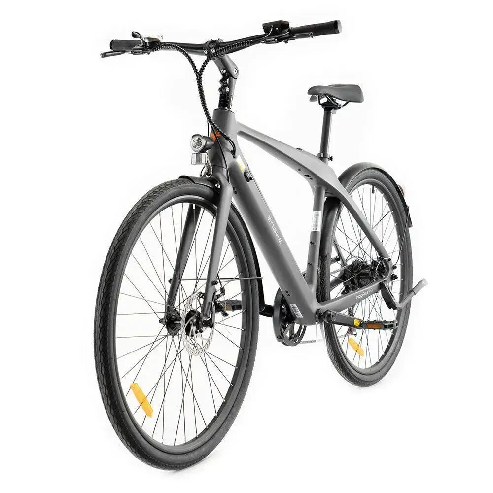 ENGWE Mapfour N1 Air - Gray