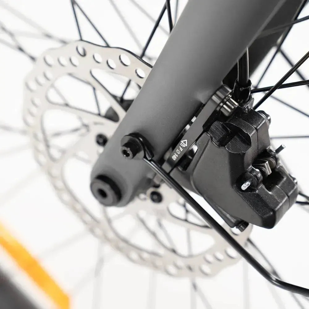 ENGWE Mapfour N1 Pro - Gray