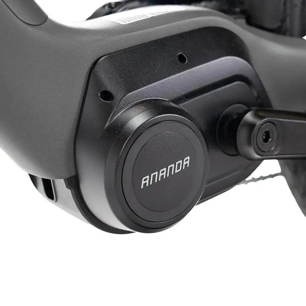 ENGWE Mapfour N1 Pro - Gray