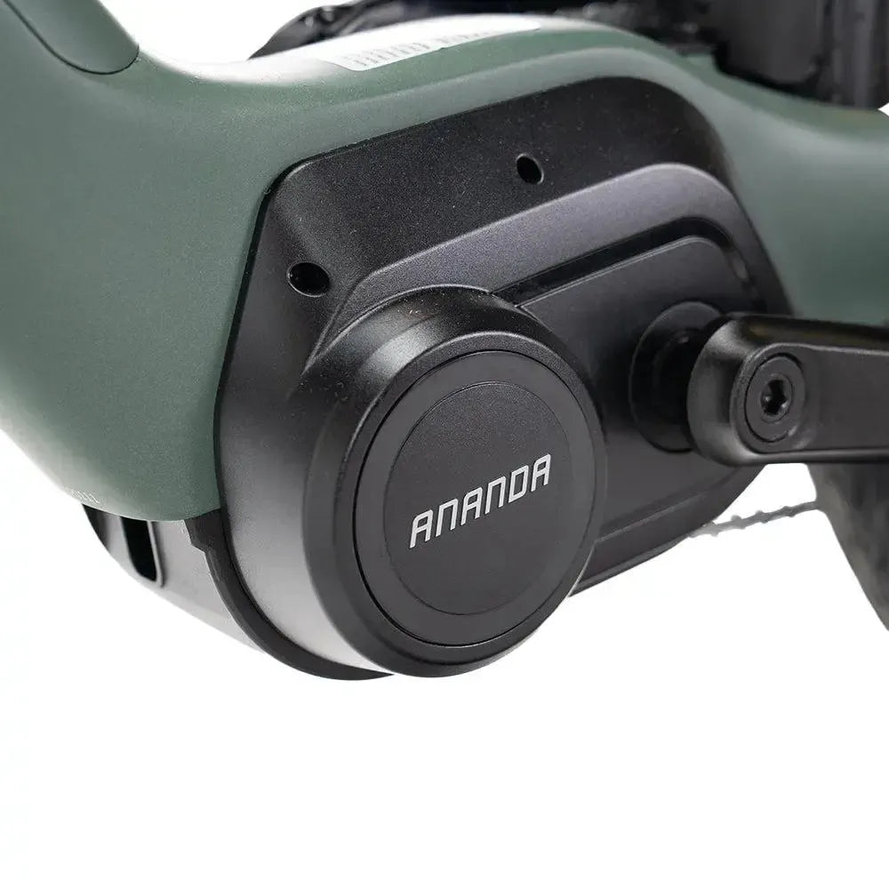 ENGWE Mapfour N1 Pro - Verde