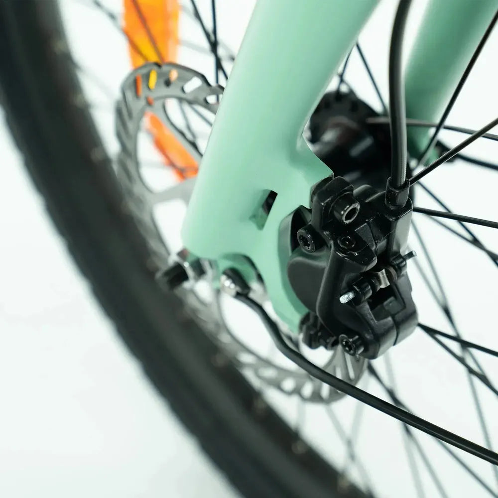 ENGWE P20 - Bicicleta eléctrica plegable - Verde