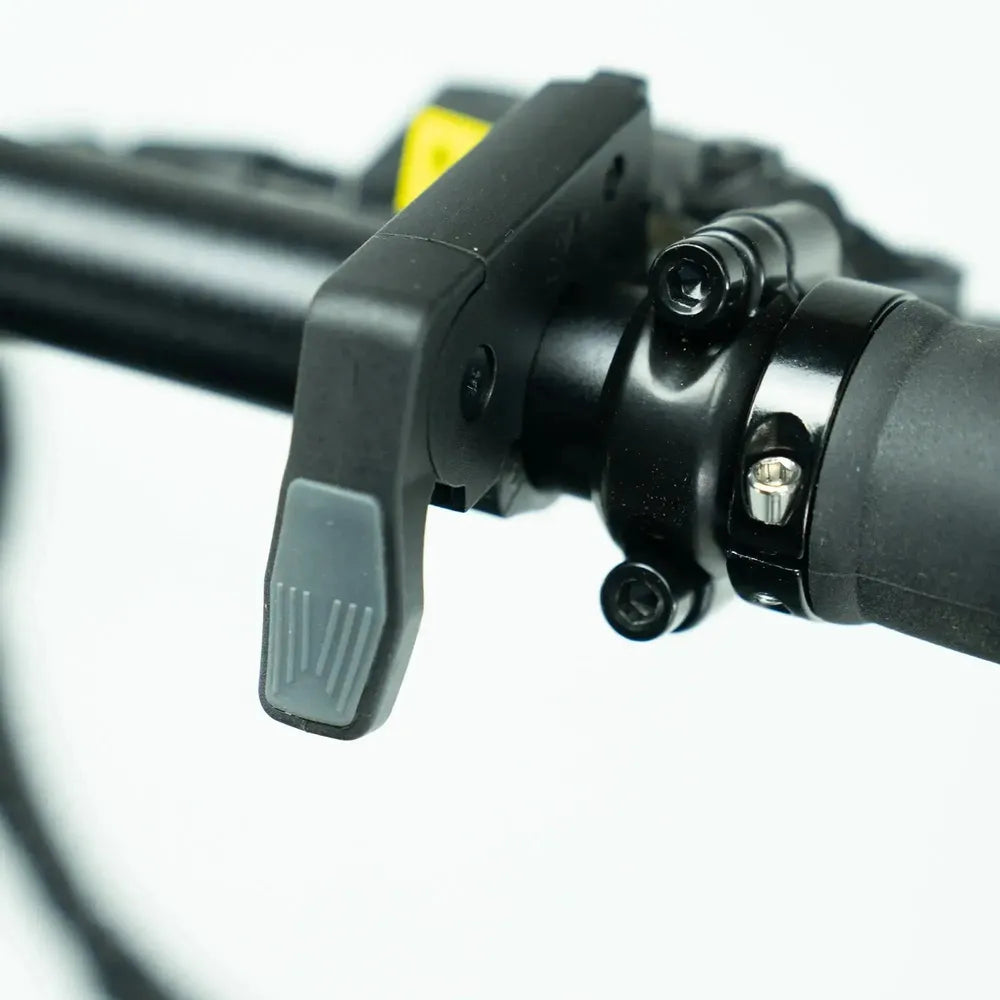 ENGWE P20 - Bicicleta eléctrica plegable - Negro