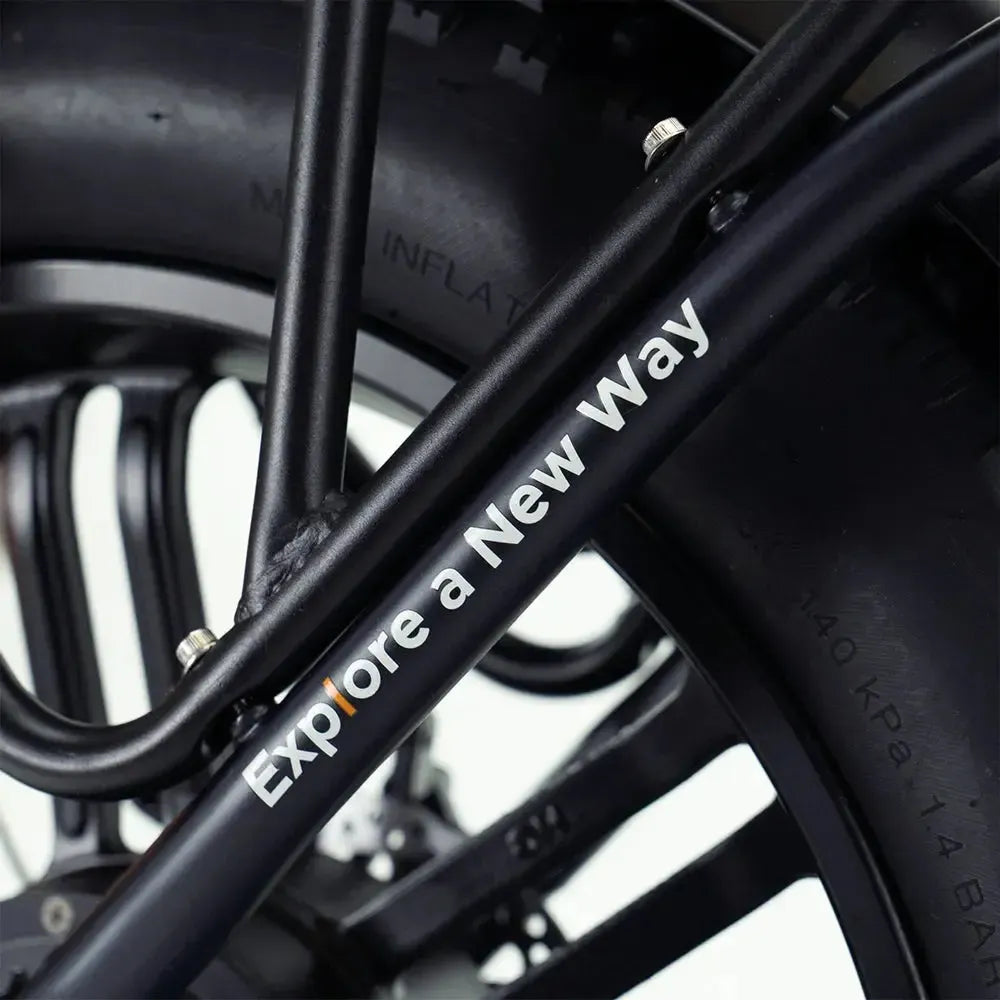 Engwe L20 - Fatbike - Zwart