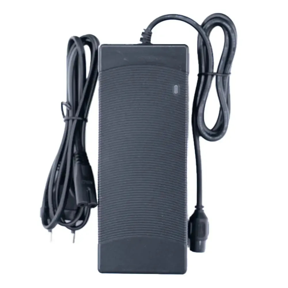 V20 - Charger