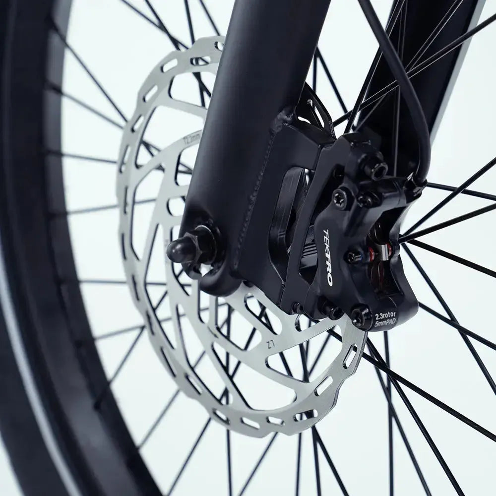 Vogue Wonder - Longtail - Gris