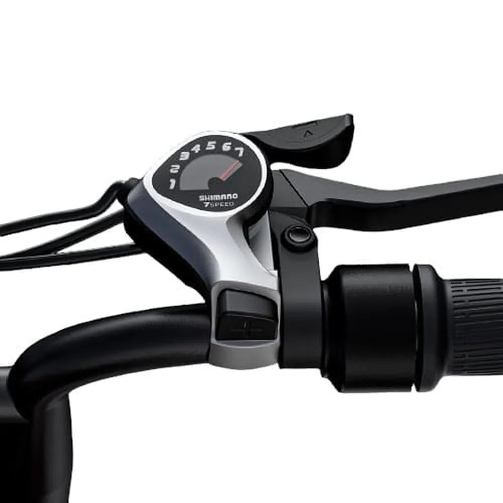 ENGWE M20 - Fatbike - Doble batería - Negro