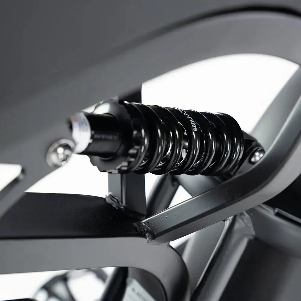 V20 Pro 5.0 Gris - Fatbike - Frenos hidráulicos