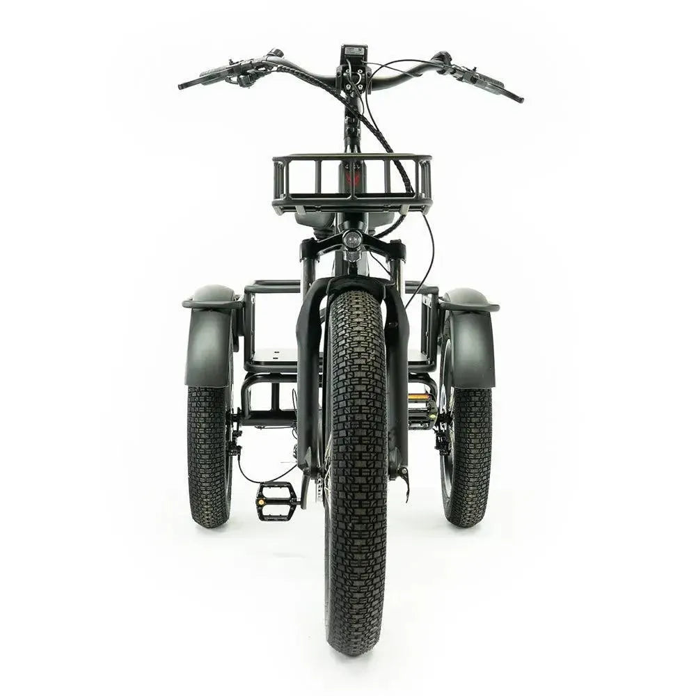 Diablo Big Foot Driewieler - Electrische minder valide fiets - Mat Zwart