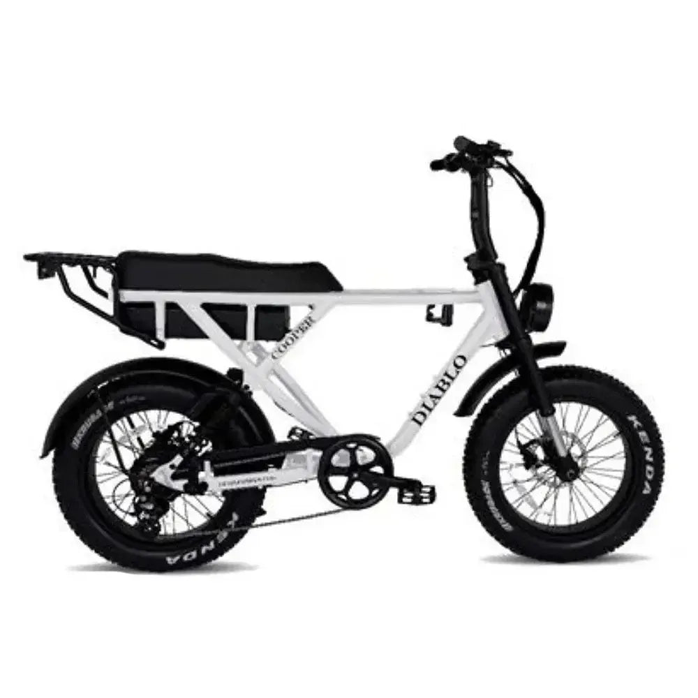 Diablo Cooper Fatbike - Matt Zwart