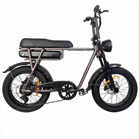 EB2 – Fatbike – Café