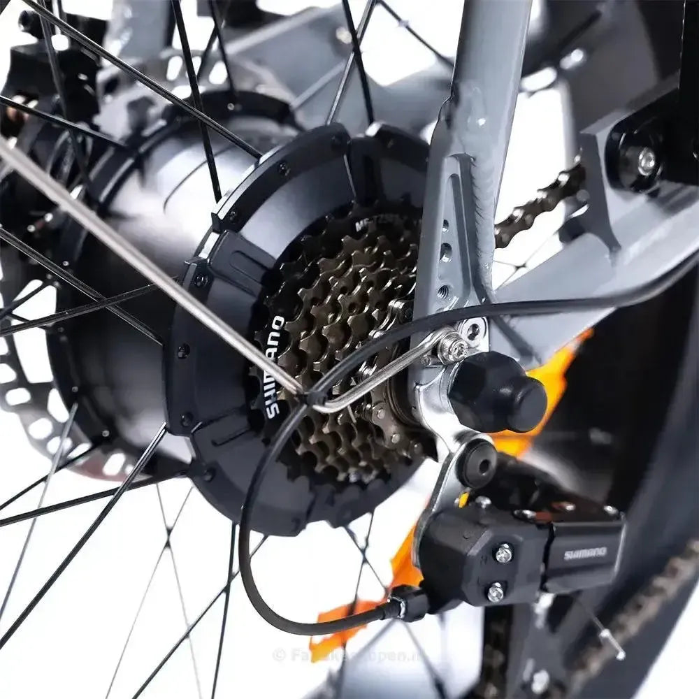 EB2 Fatbike Zilver +  Alarm + Voetsteuntjes