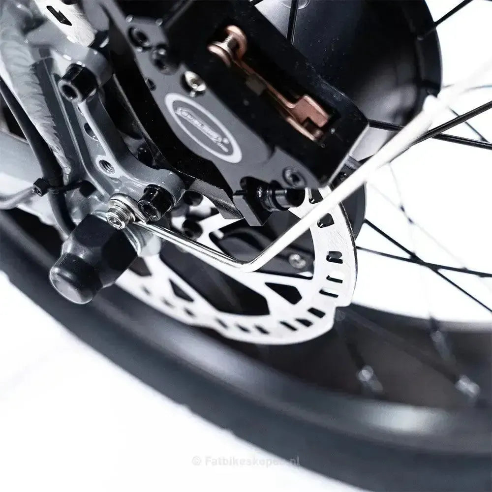 EB2 Fatbike Zilver +  Alarm + Voetsteuntjes