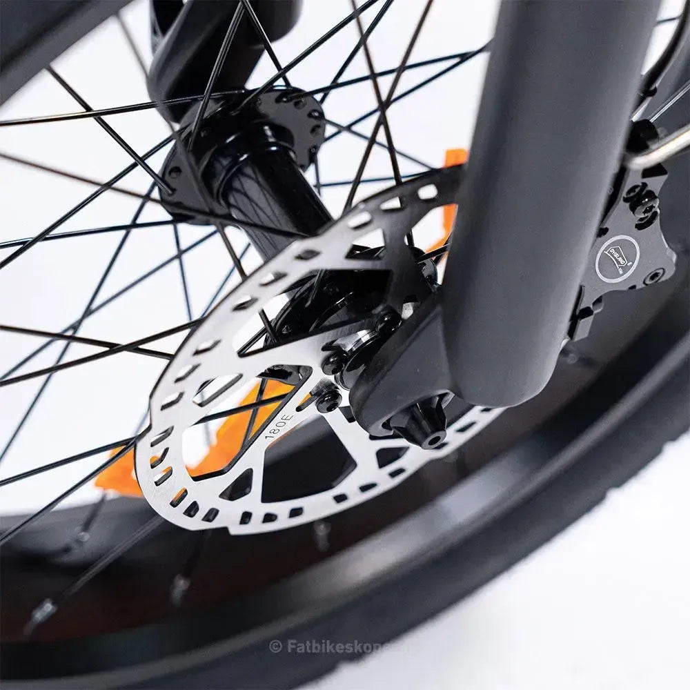 EB8 - Fatbike - Bruin