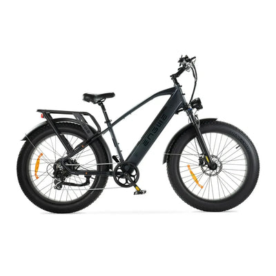 Fat tyre electric bikes
