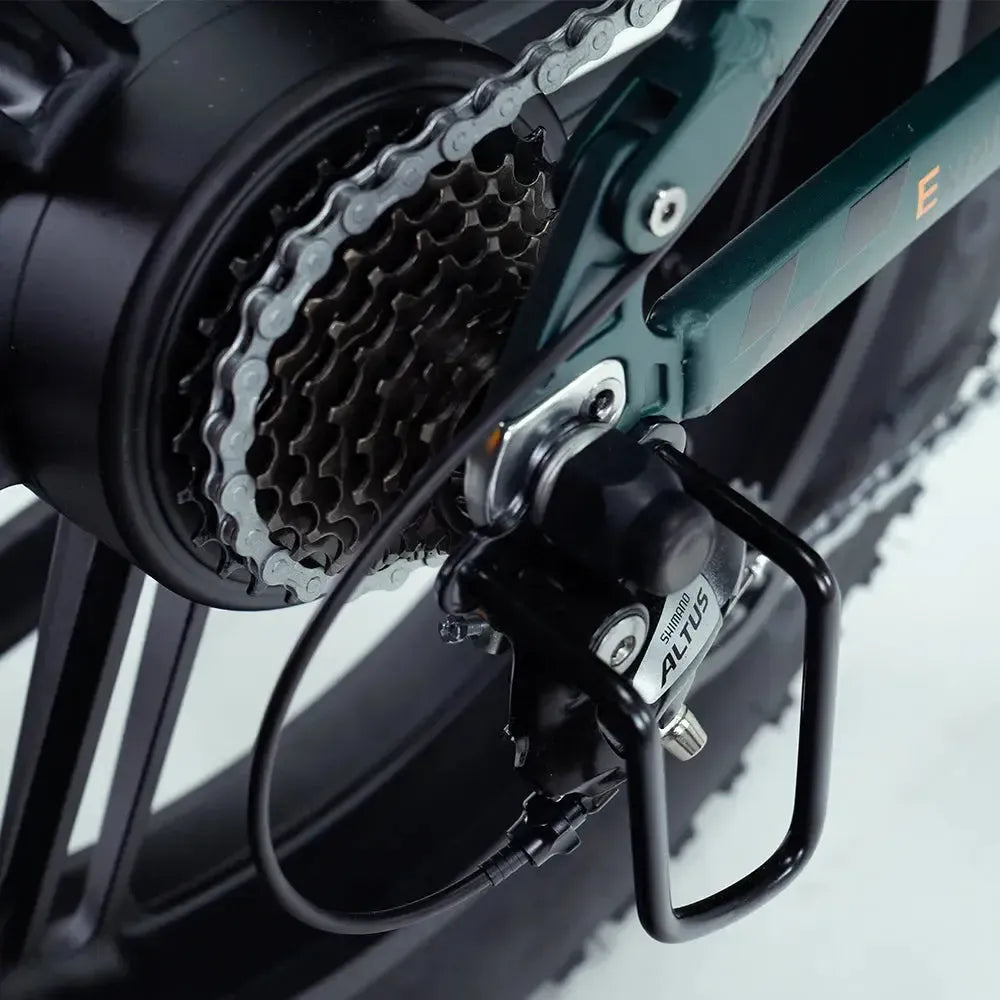 ENGWE Engine Pro 2.0 - Green