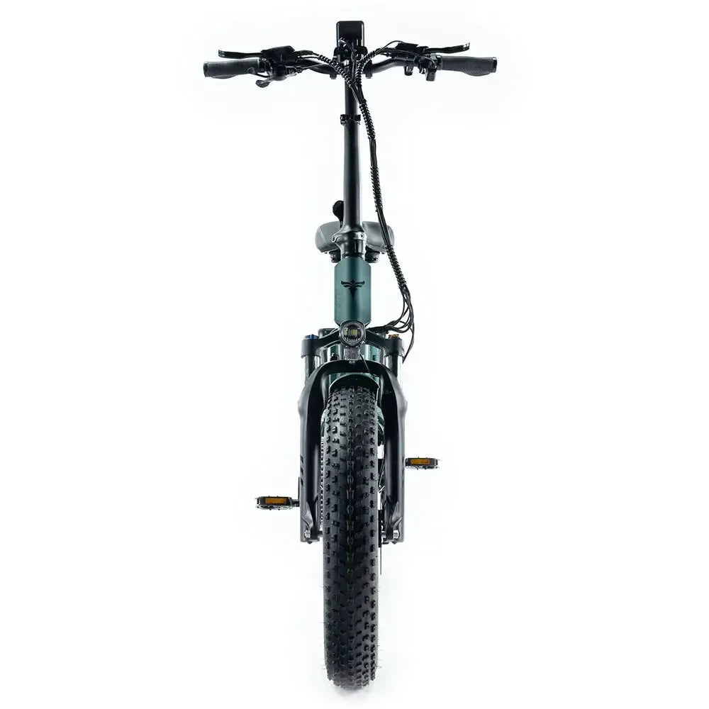 Engwe Engine Pro 2.0 - Bicicleta eléctrica plegable - Verde