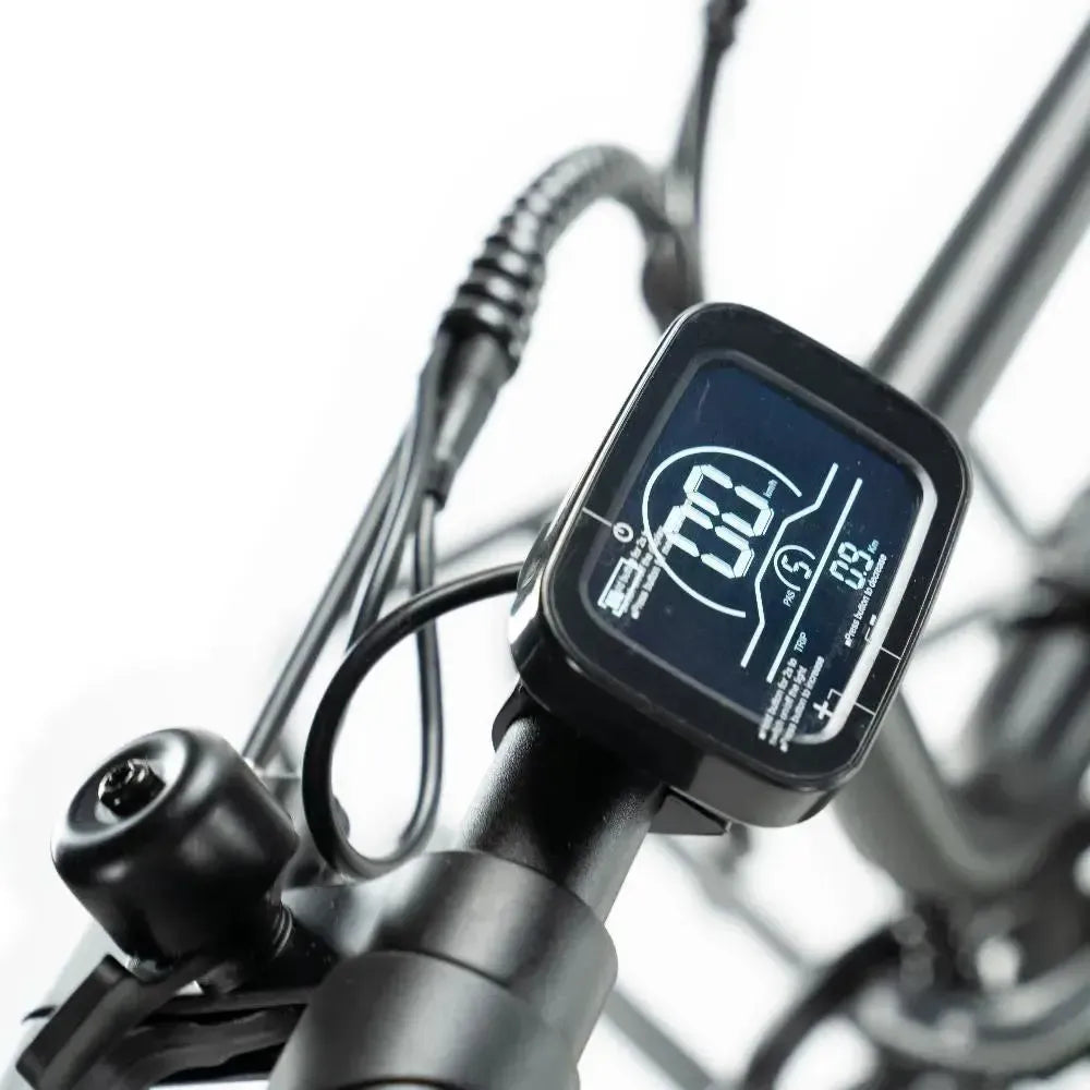 Engwe L20 - Fatbike - Verde