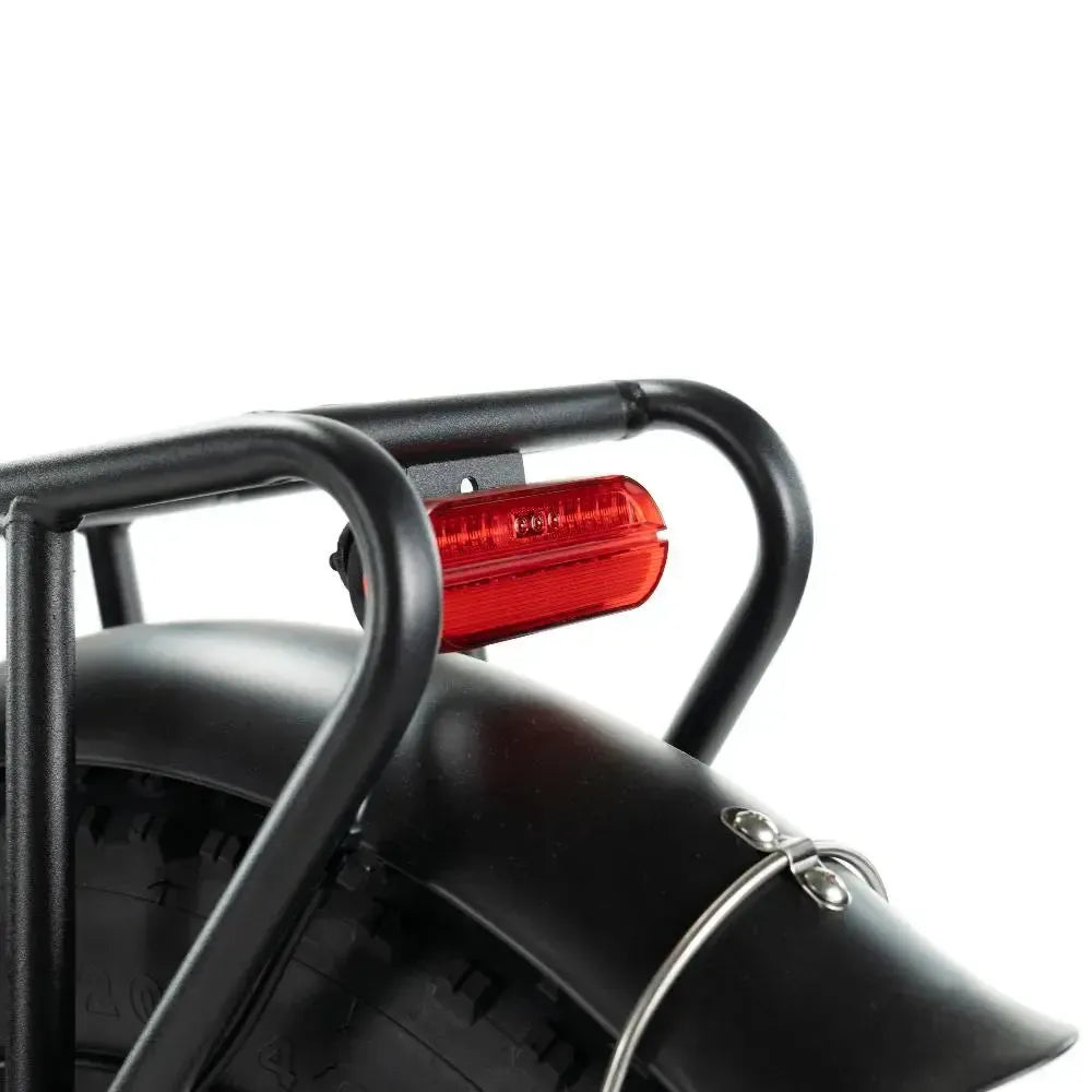 Engwe L20 - Fatbike - Verde