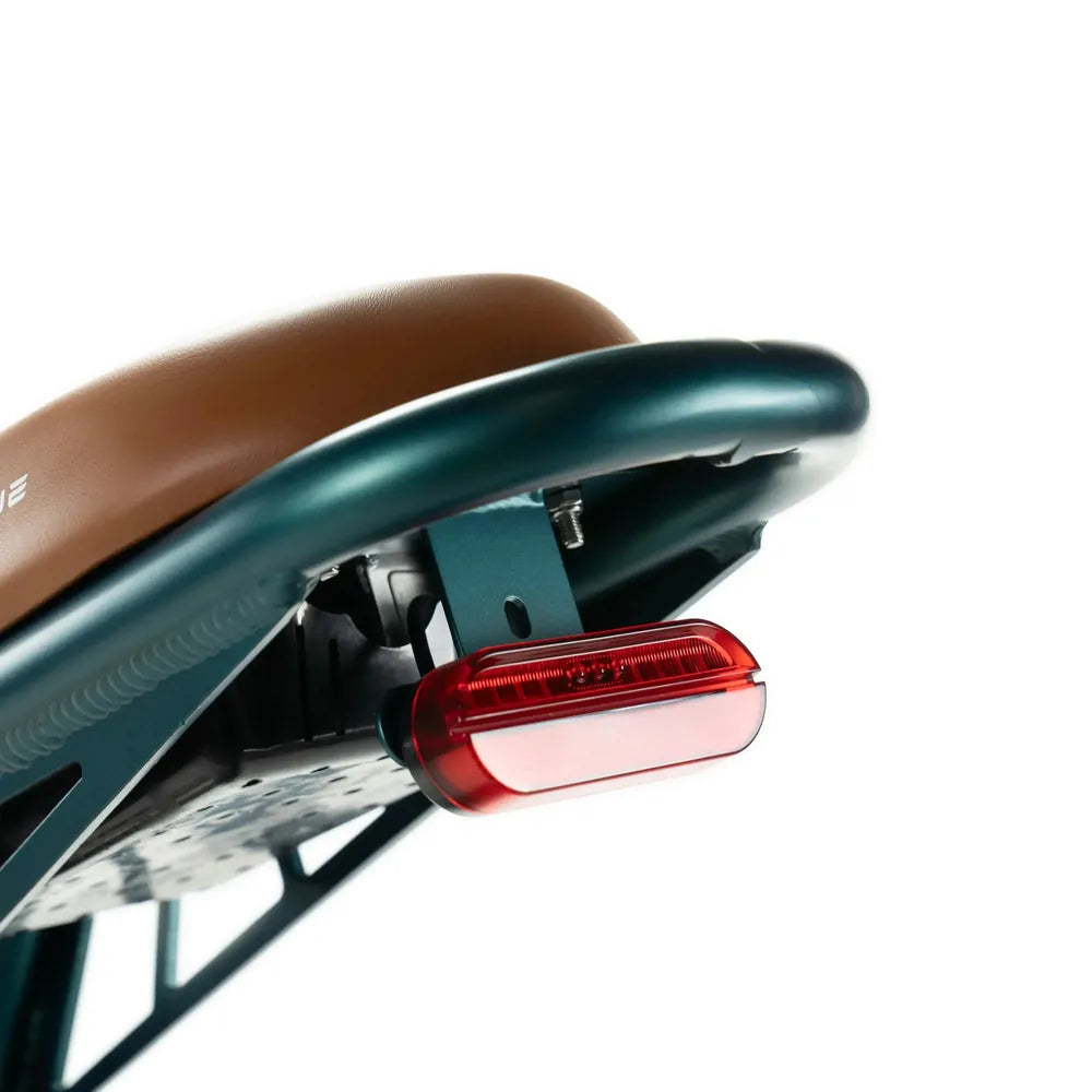 ENGWE M20 - Fatbike - Doble batería - Verde