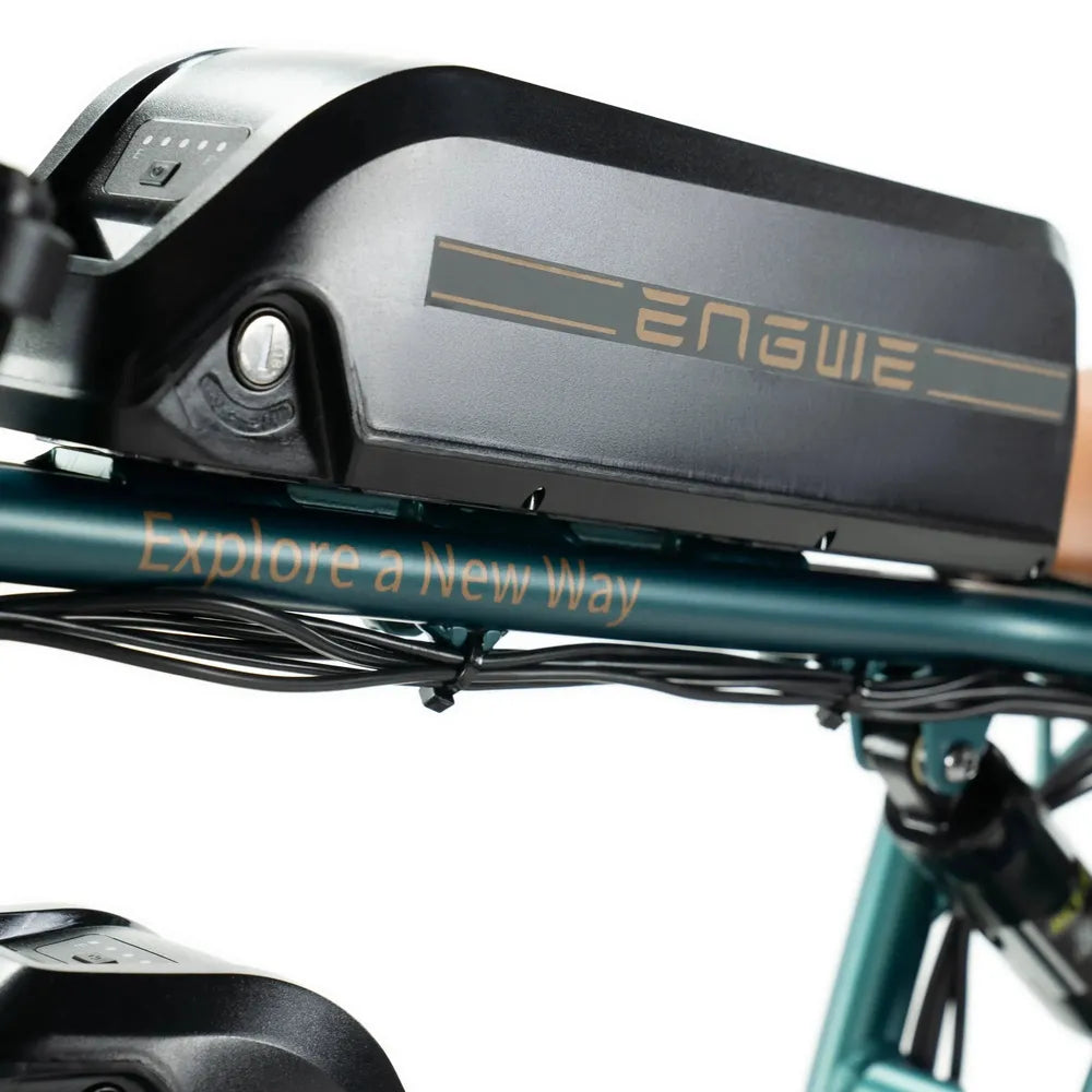 ENGWE M20 - Fatbike - Doble batería - Verde