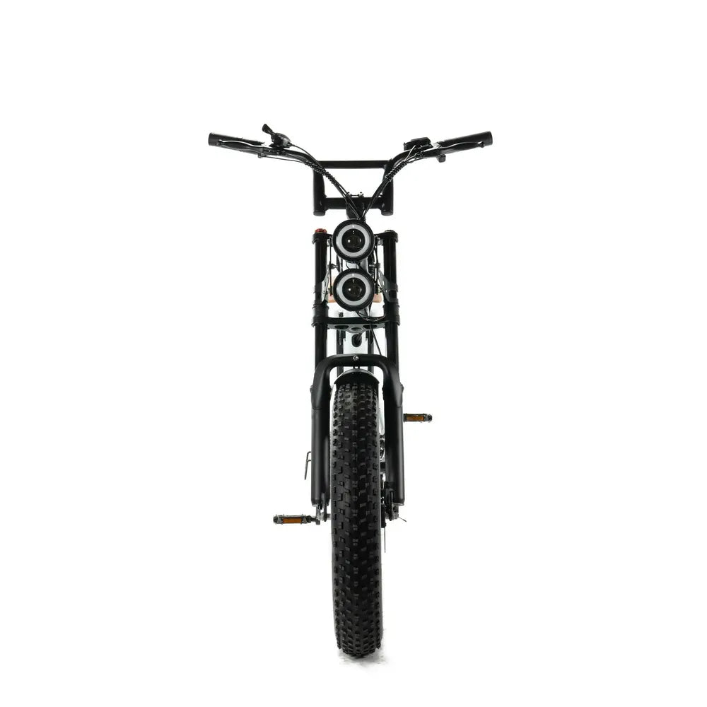 ENGWE M20 - Dual Battery - White