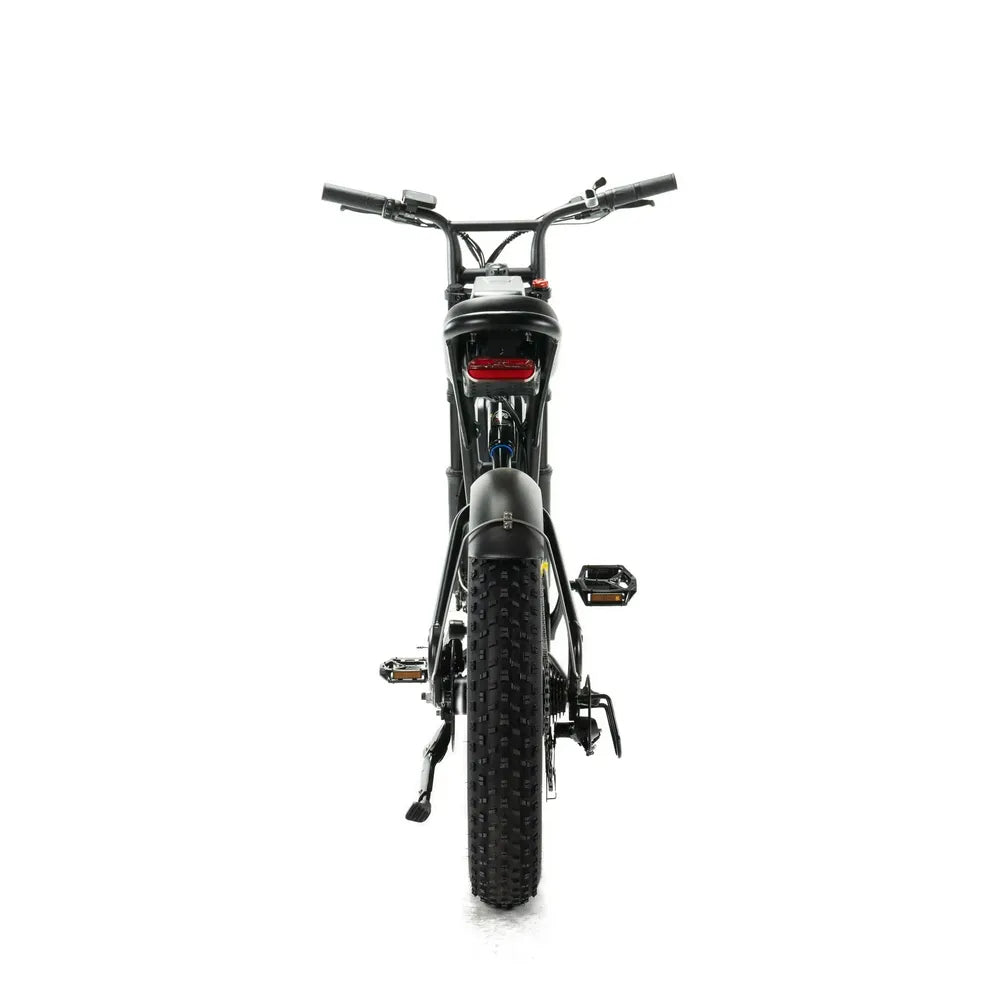 ENGWE M20 - Fatbike - Doble batería - Negro