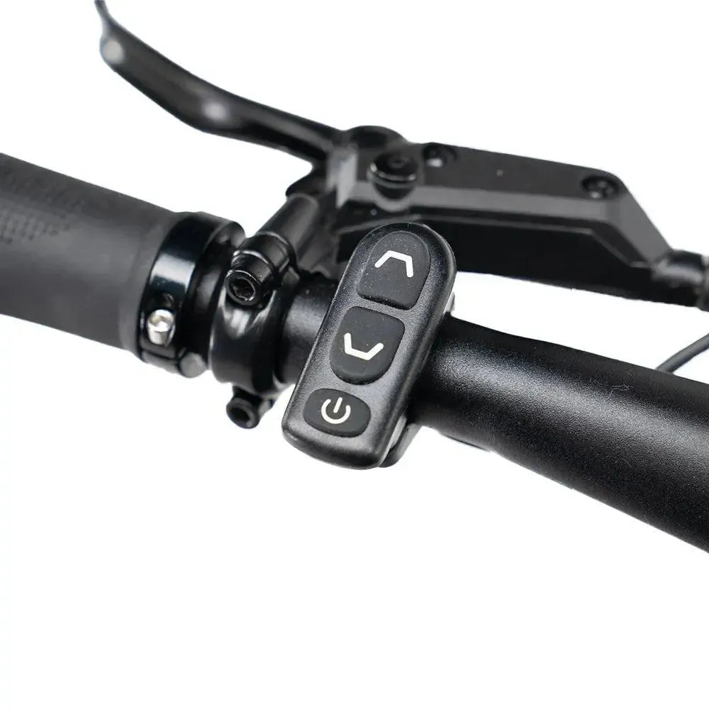 ENGWE Mapfour N1 Pro - Gray
