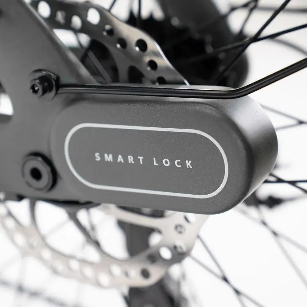 ENGWE Mapfour N1 Pro - Gris