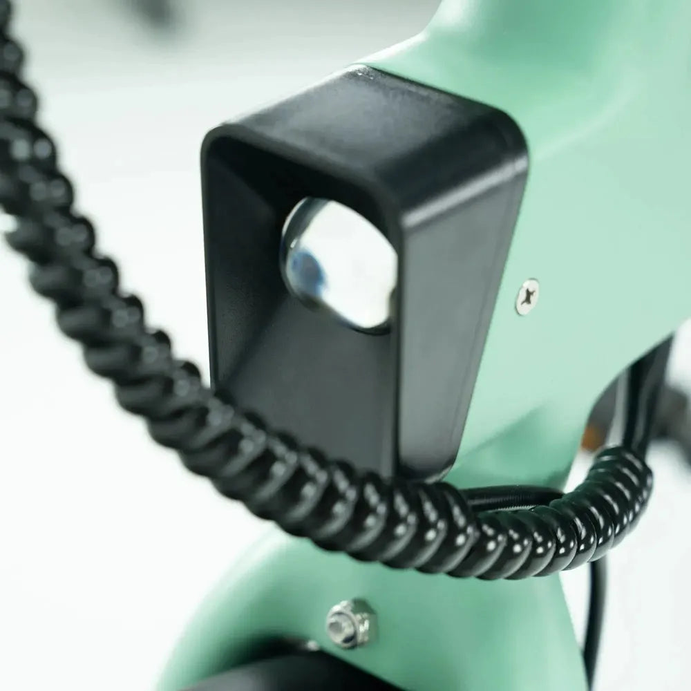 ENGWE P20 - Bicicleta eléctrica plegable - Verde