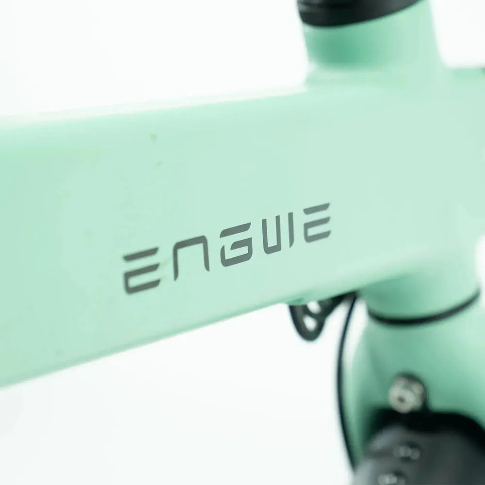 ENGWE P20 - Bicicleta eléctrica plegable - Verde