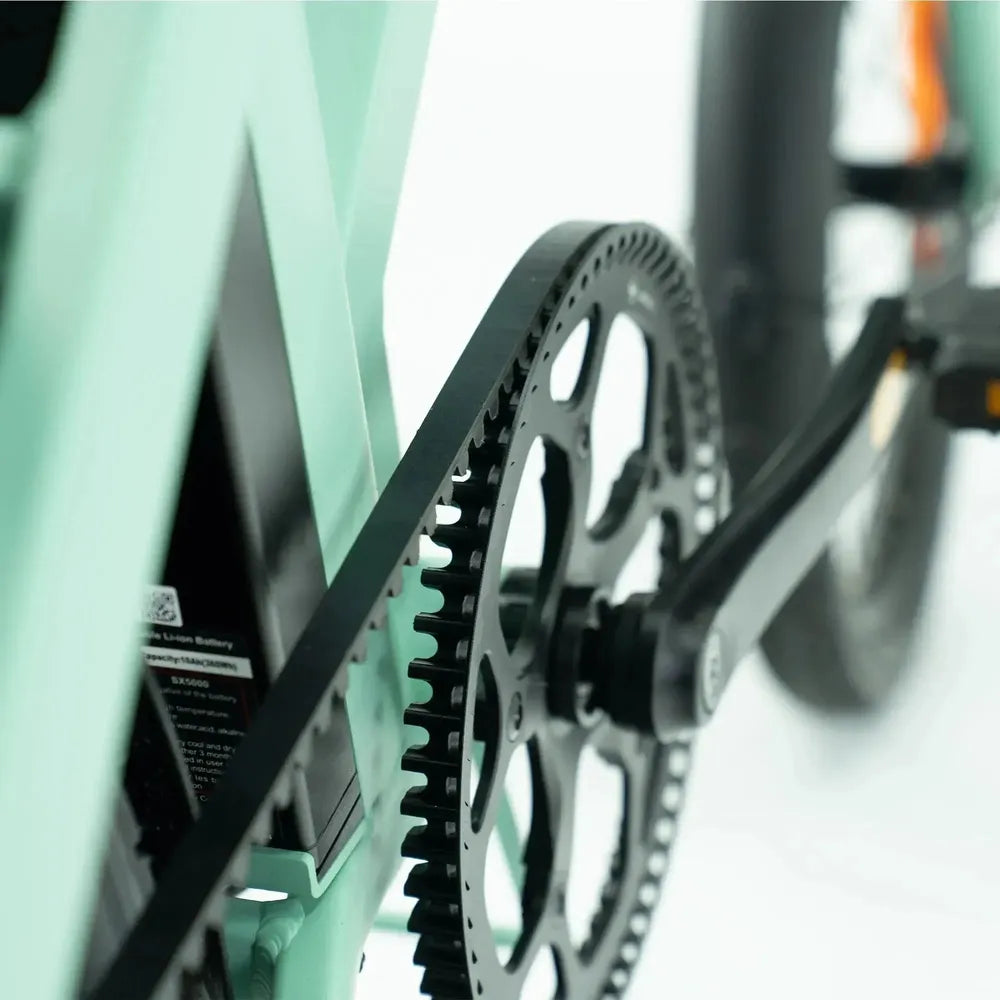 ENGWE P20 - Bicicleta eléctrica plegable - Verde