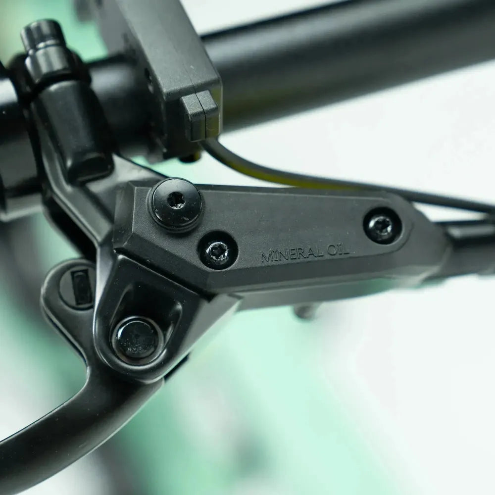 ENGWE P20 - Bicicleta eléctrica plegable - Verde