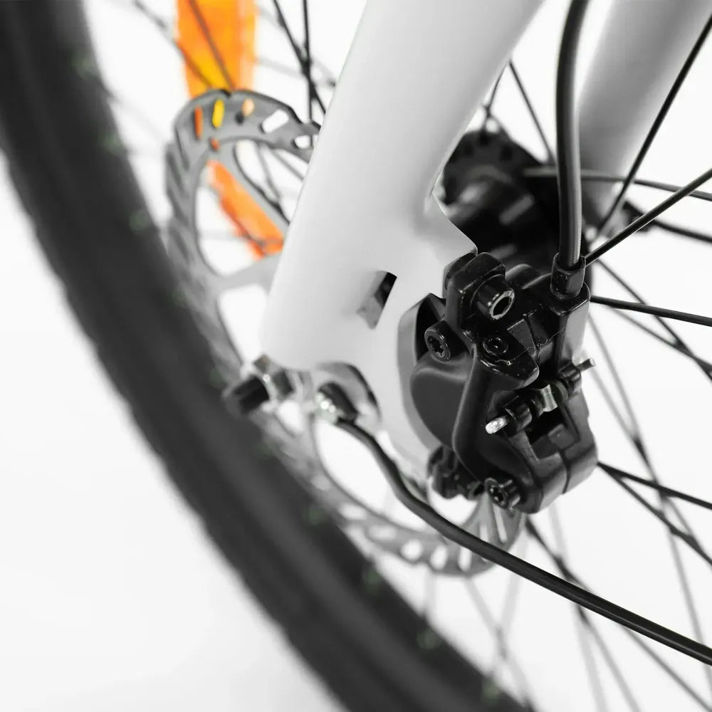 ENGWE P20 - Bicicleta eléctrica plegable - Negro