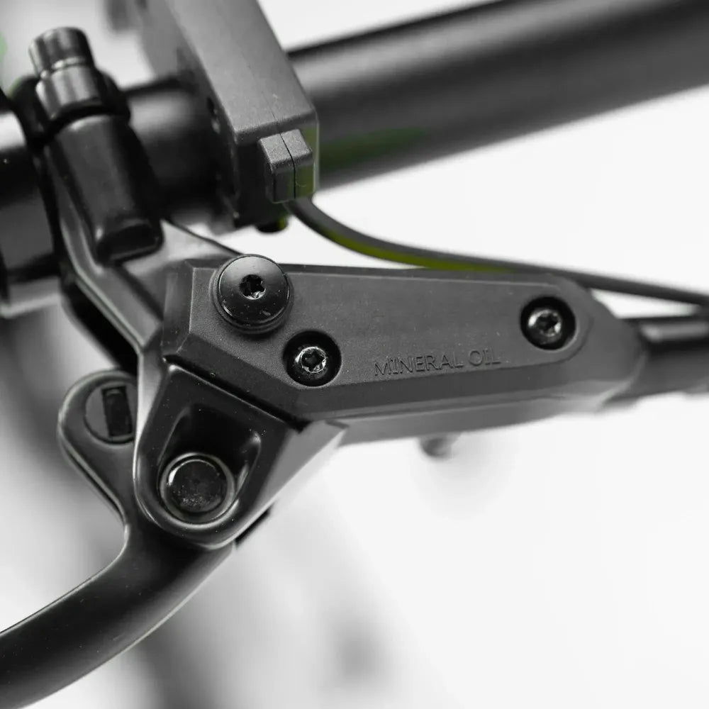 ENGWE P20 - Bicicleta eléctrica plegable - Negro